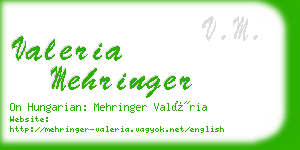 valeria mehringer business card